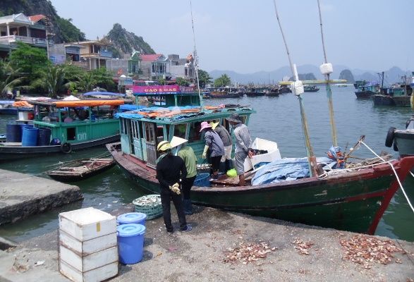 Phê duyệt chương trình điều tra cơ bản tài nguyên, môi trường biển và hải đảo