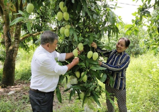 Sáng tình Đảng, ấm lòng dân