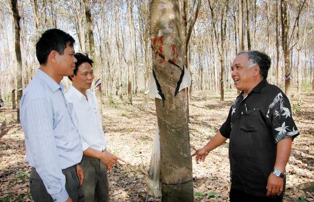 Cựu chiến binh làm giàu trên đất rừng