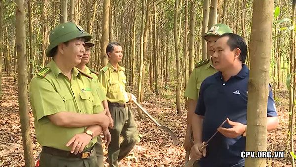 BẢN TIN THỜI SỰ NGÀY 11/6/2020