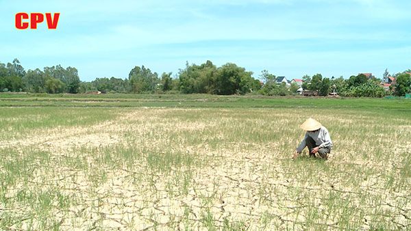 BẢN TIN THỜI SỰ NGÀY 12/07/2020