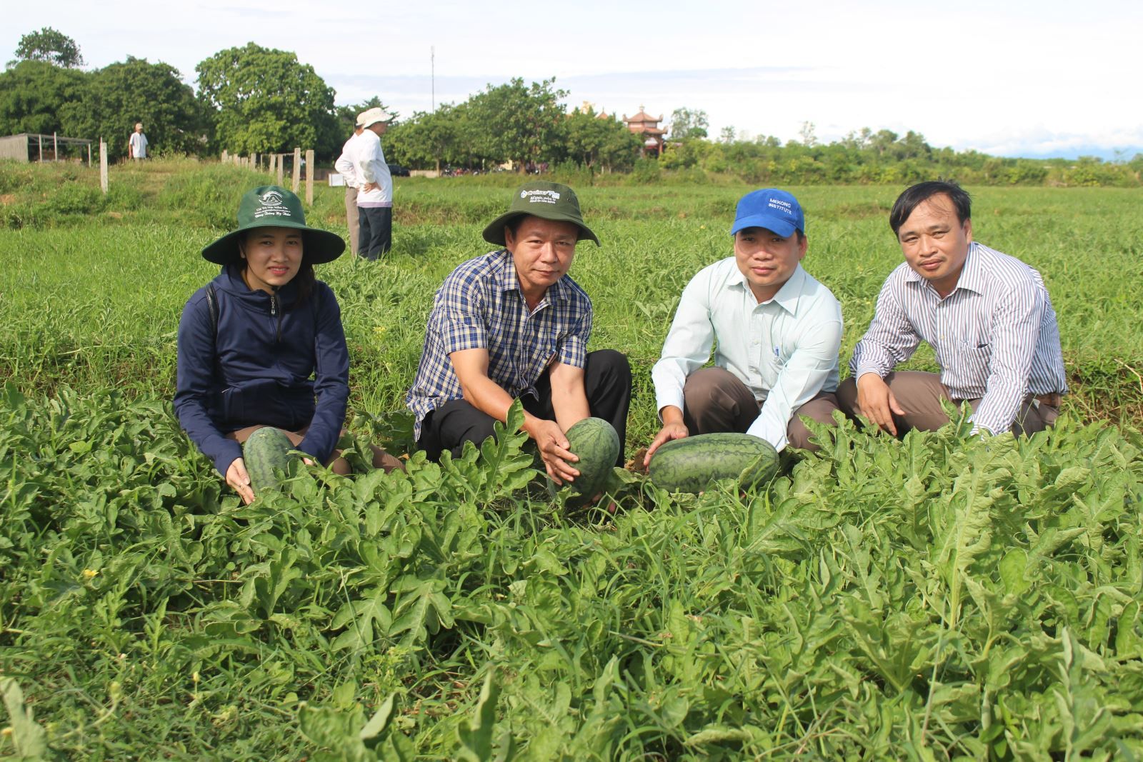 Chuyển đổi cơ cấu cây trồng thích ứng với nắng hạn