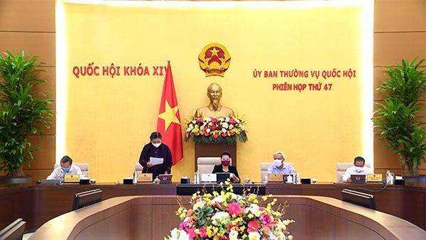 BẢN TIN THỜI SỰ NGÀY 11/8/2020