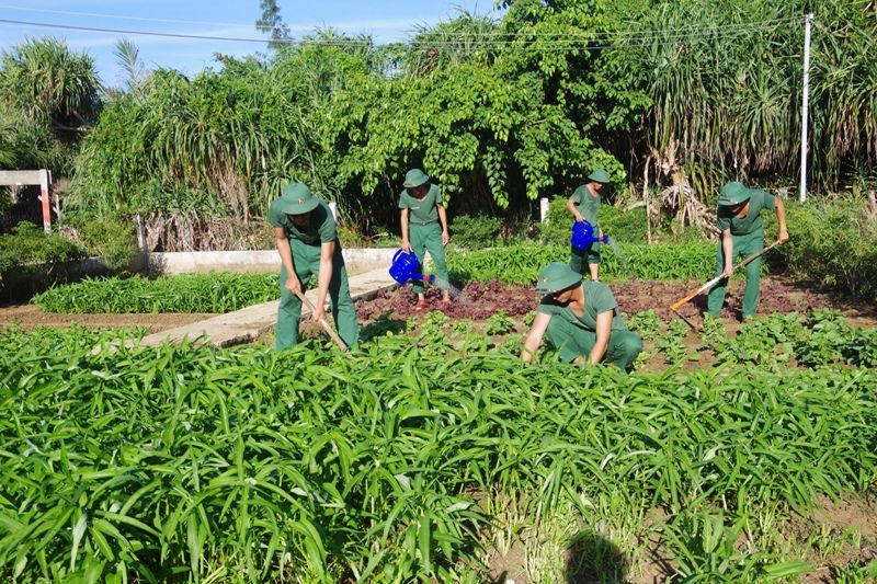 Tăng gia trên đảo xa