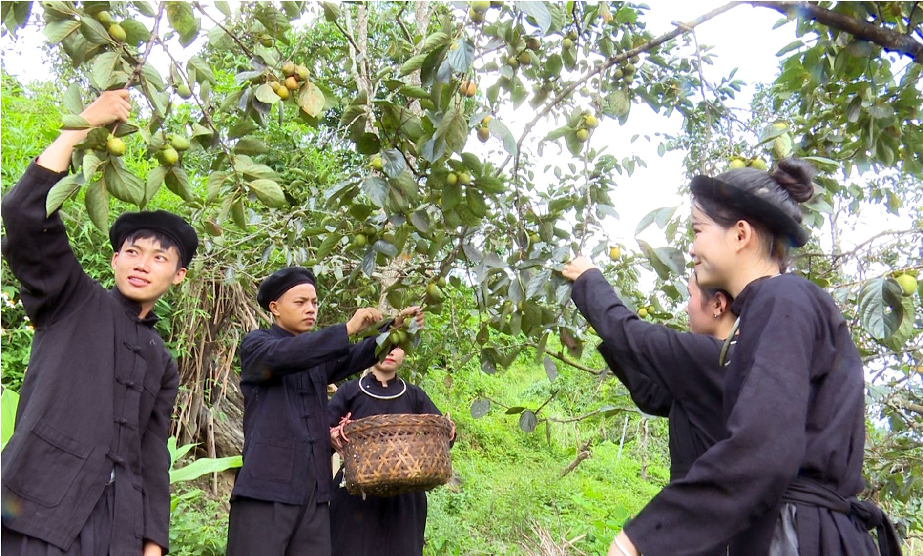 Khoa học công nghệ góp phần phát triển KT-XH vùng dân tộc thiểu số