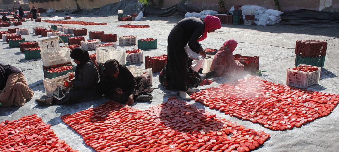 FAO: Giá một số loại thực phẩm cao nhất trong nhiều tháng