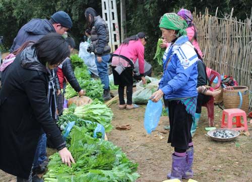 Hỗ trợ xây dựng Nông thôn mới tại vùng đặc biệt khó khăn