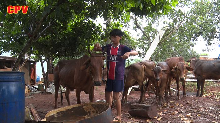 Bù Gia Mập, điểm sáng thoát nghèo của Bình Phước