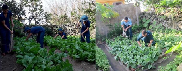 Tăng gia trên đảo Bạch Long Vỹ