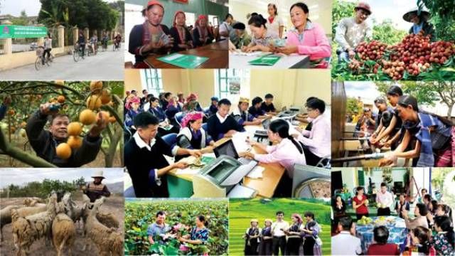 Nhìn lại giai đoạn 2011-2020 với những bước tiến tín dụng chính sách vượt bậc