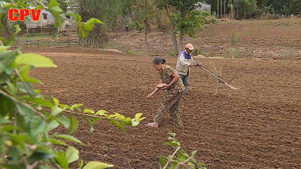 BẢN TIN THỜI SỰ NGÀY 24/12/2020