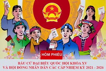 Thành lập 15 đơn vị bầu cử đại biểu HĐND TP Đà Nẵng khóa X