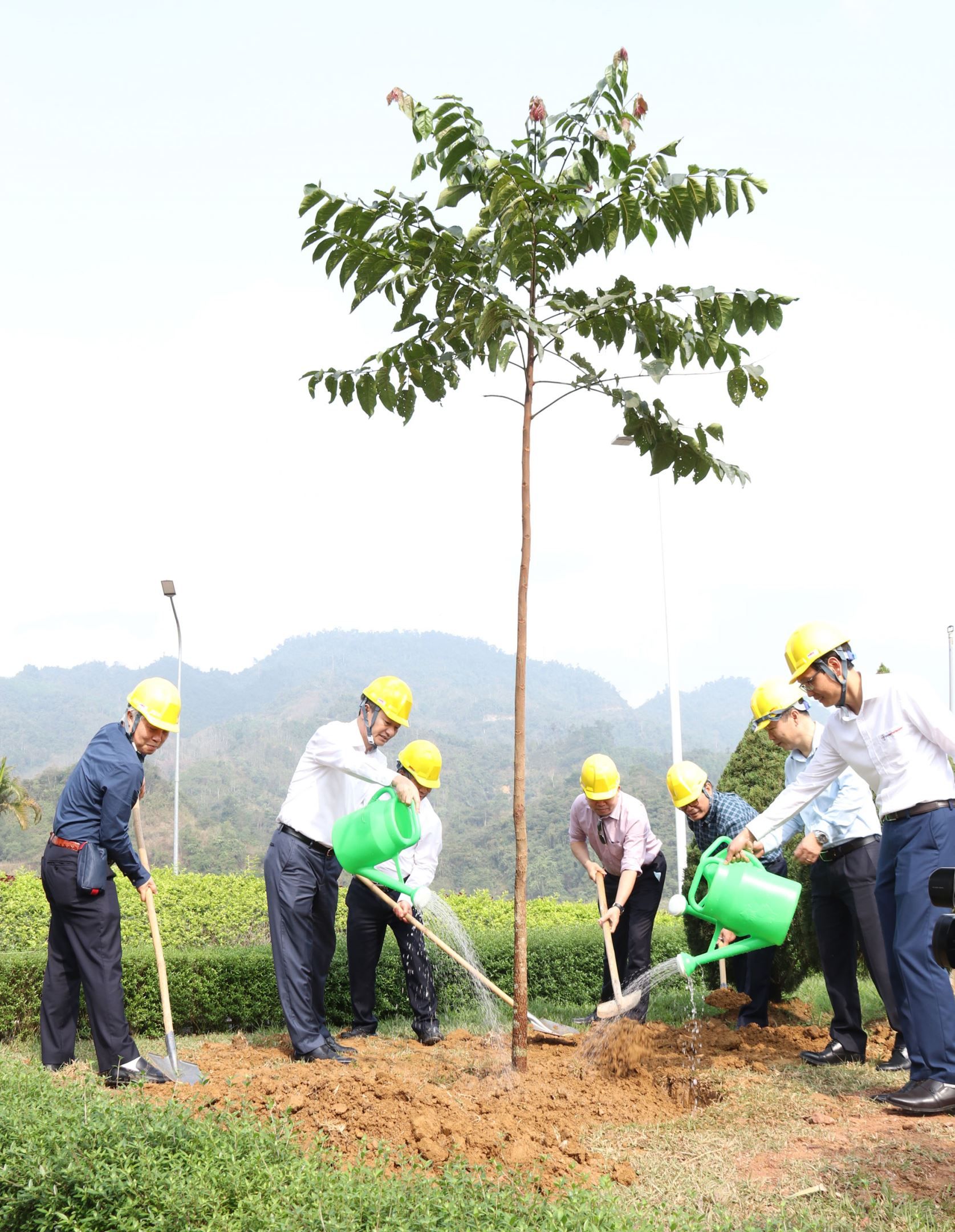 Tổng Giám đốc EVN Trần Đình Nhân trồng cây tại Nhà máy Thủy điện Tuyên Quang