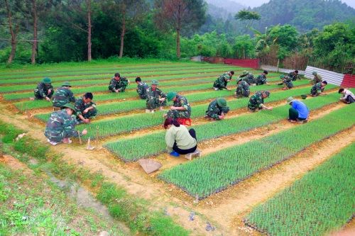 Ban hành Nghị định về Khu kinh tế - quốc phòng