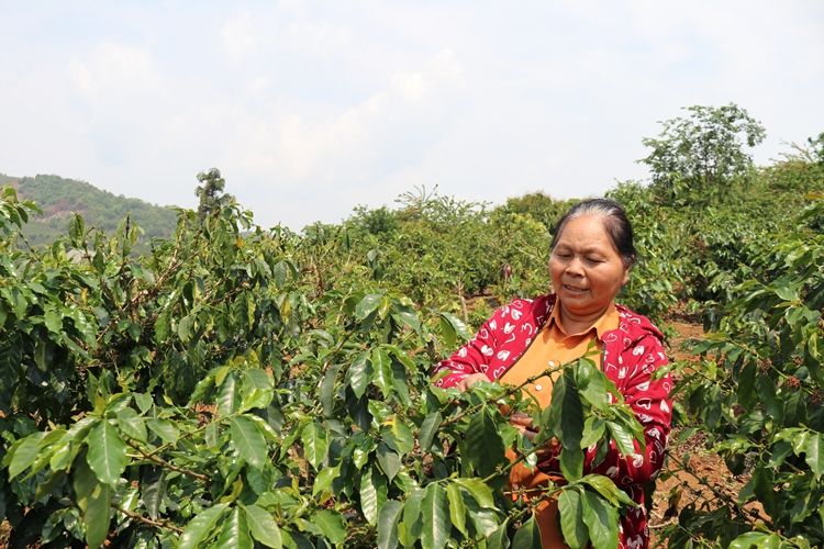 ​Xây dựng Sơn La trở thành trung tâm chế biến nông sản của vùng Tây Bắc