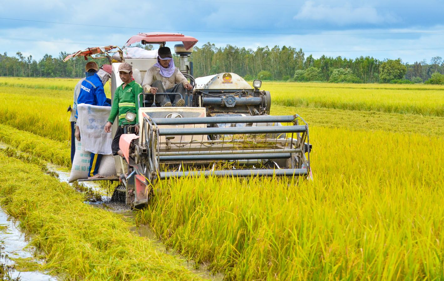 Kiên Giang: Triển khai các mô hình sản xuất nông nghiệp theo hướng công nghệ cao