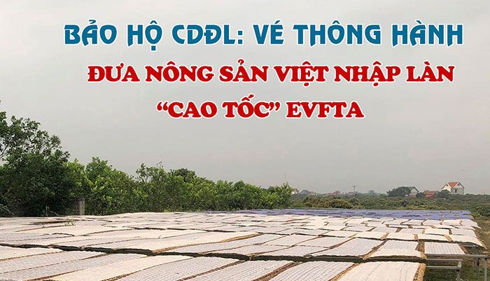 ​Bài 2: Bảo hộ CDĐL nước ngoài - Cơ hội lớn cho “vựa vải” miền Bắc