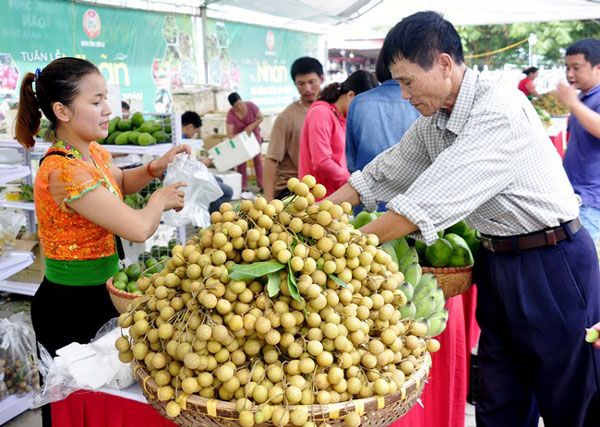 Cấp chứng nhận đăng ký nhãn hiệu “Nhãn Sơn La”