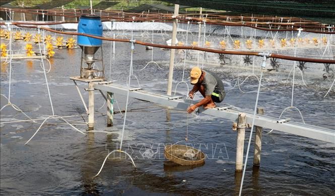 Thúc đẩy chuyển giao, ứng dụng KH&CN vào sản xuất thủy sản