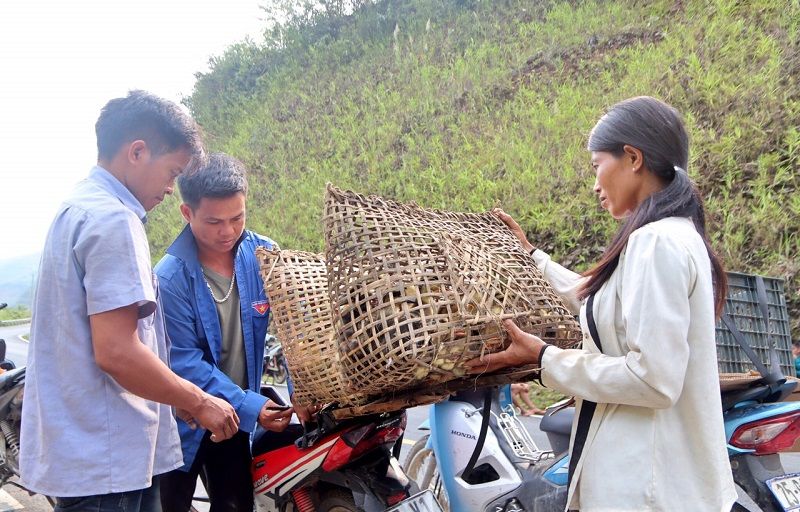 Nỗ lực nâng cao đời sống đồng bào dân tộc Mảng