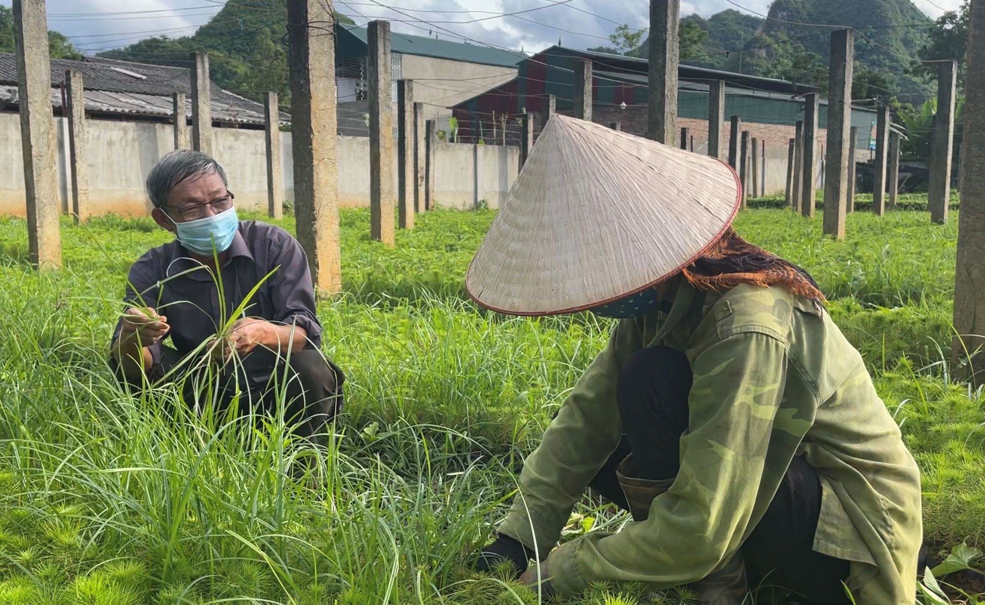 Ngày trở về