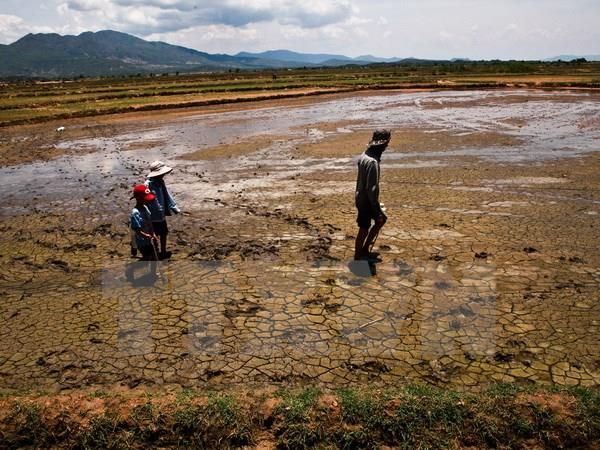 Nắng nóng sẽ gia tăng, khắc nghiệt hơn tại Châu Á