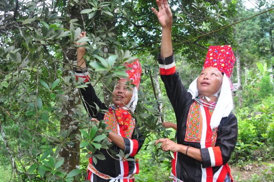 Quảng Ninh: Nỗ lực thu hẹp khoảng cách giữa các vùng, miền