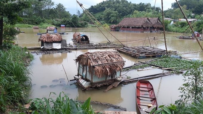 Vĩnh Phúc: Chủ động ứng phó với thiên tai trong nuôi trồng thủy sản