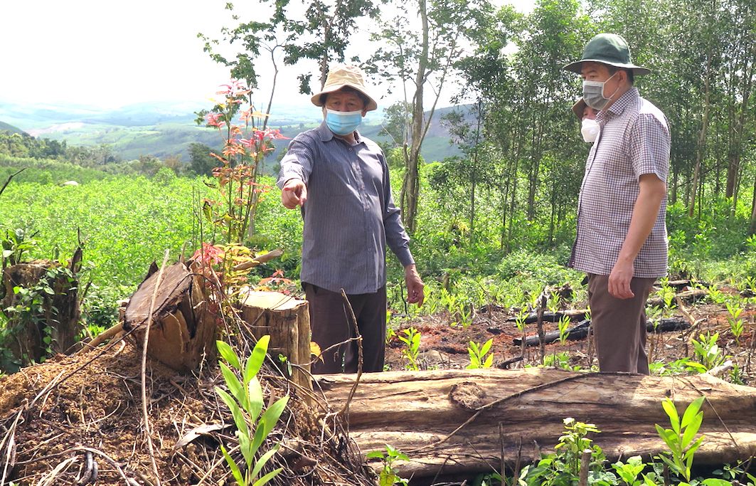 Chủ tịch UBND tỉnh Phú Yên kiểm tra hiện trường vụ phá rừng đầu nguồn sông Trà Bương