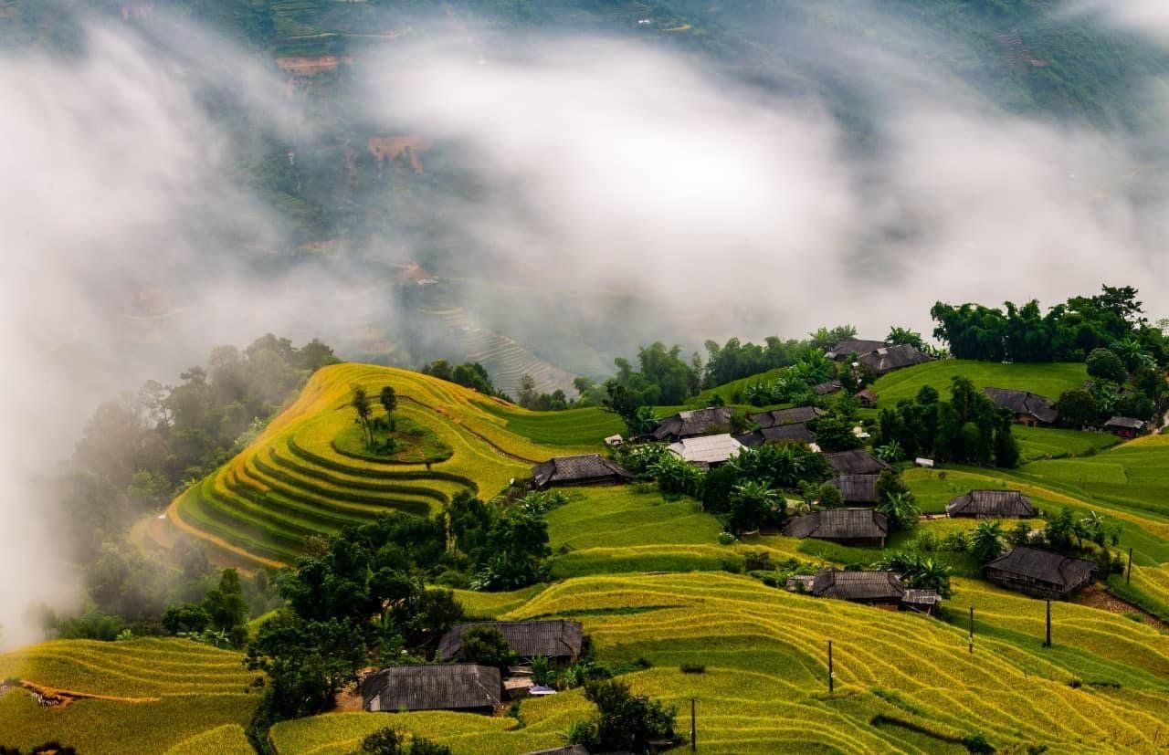 Hà Giang: Khám phá Danh thắng quốc gia Ruộng bậc thang Hoàng Su Phì trên nền tảng số