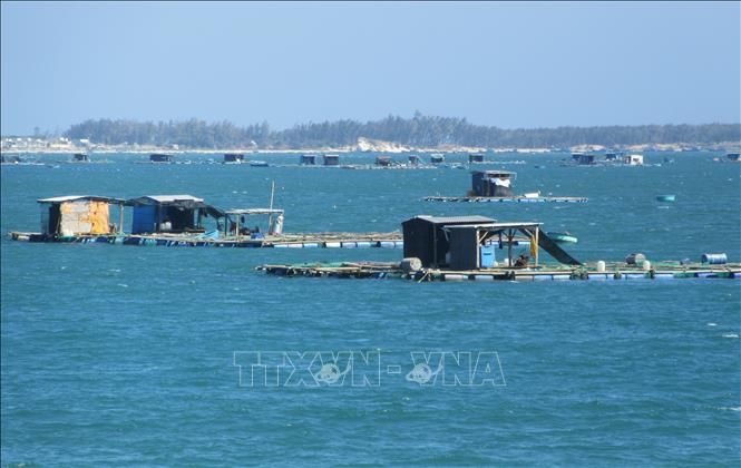 Làm rõ về quy định cho thuê khu vực biển để nuôi trồng thủy sản