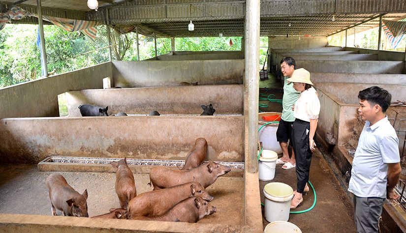 Tuyên Quang vẫn đang giữ vững là tỉnh “vùng xanh” an toàn trong phòng chống dịch Covid-19