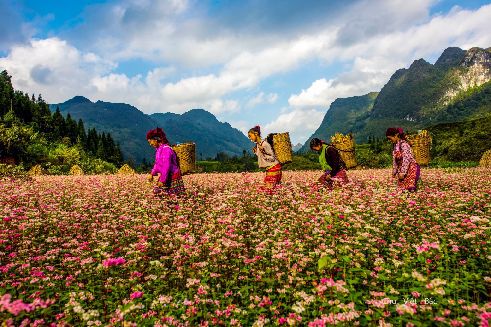 Hà Giang phấn đấu đưa du lịch trở thành ngành kinh tế trọng điểm