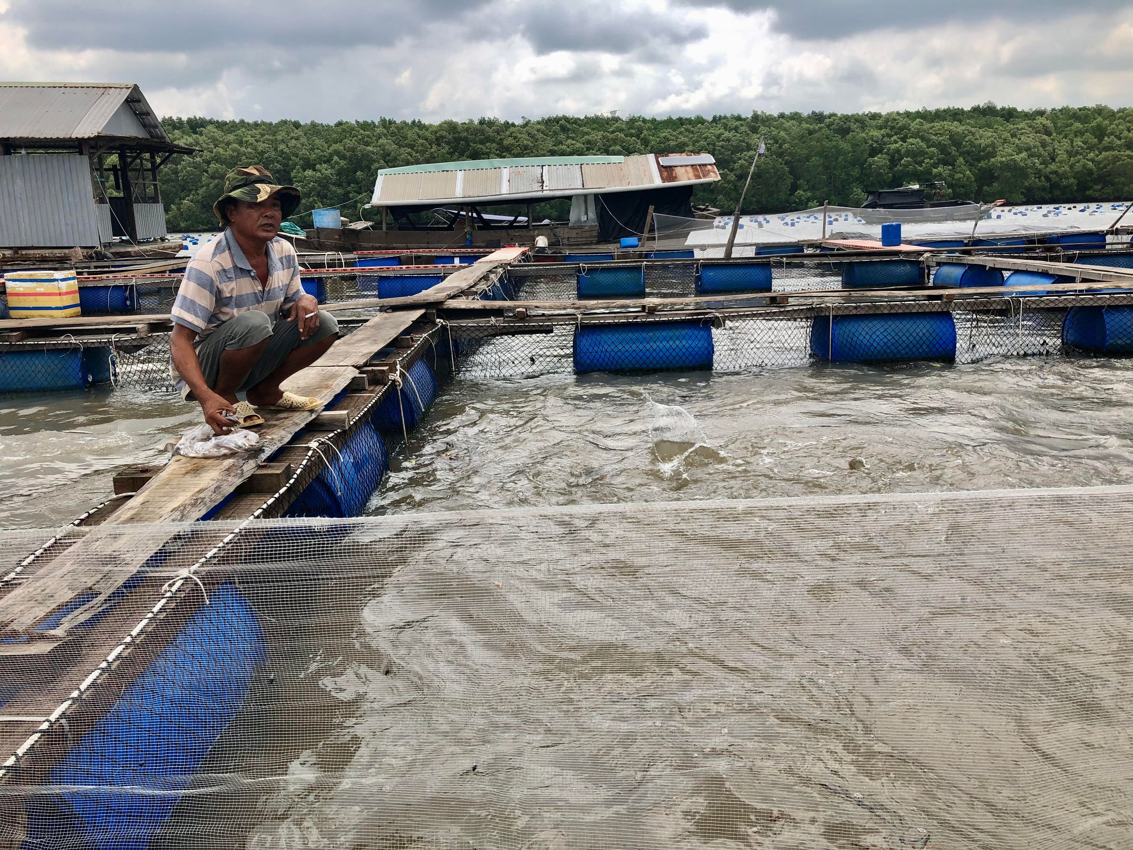 Phê duyệt Đề án phát triển nuôi trồng thuỷ sản trên biển