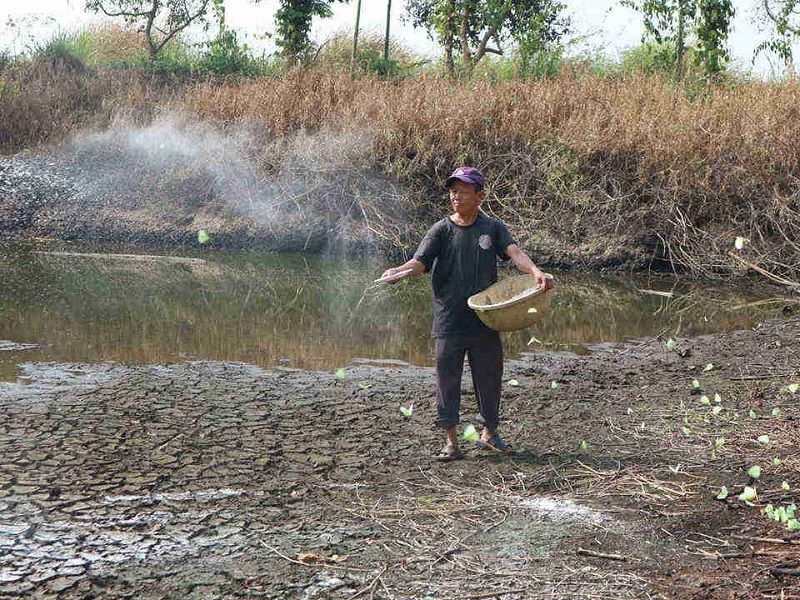 Buôn Đôn thoát nghèo từ tư duy đổi mới sản xuất