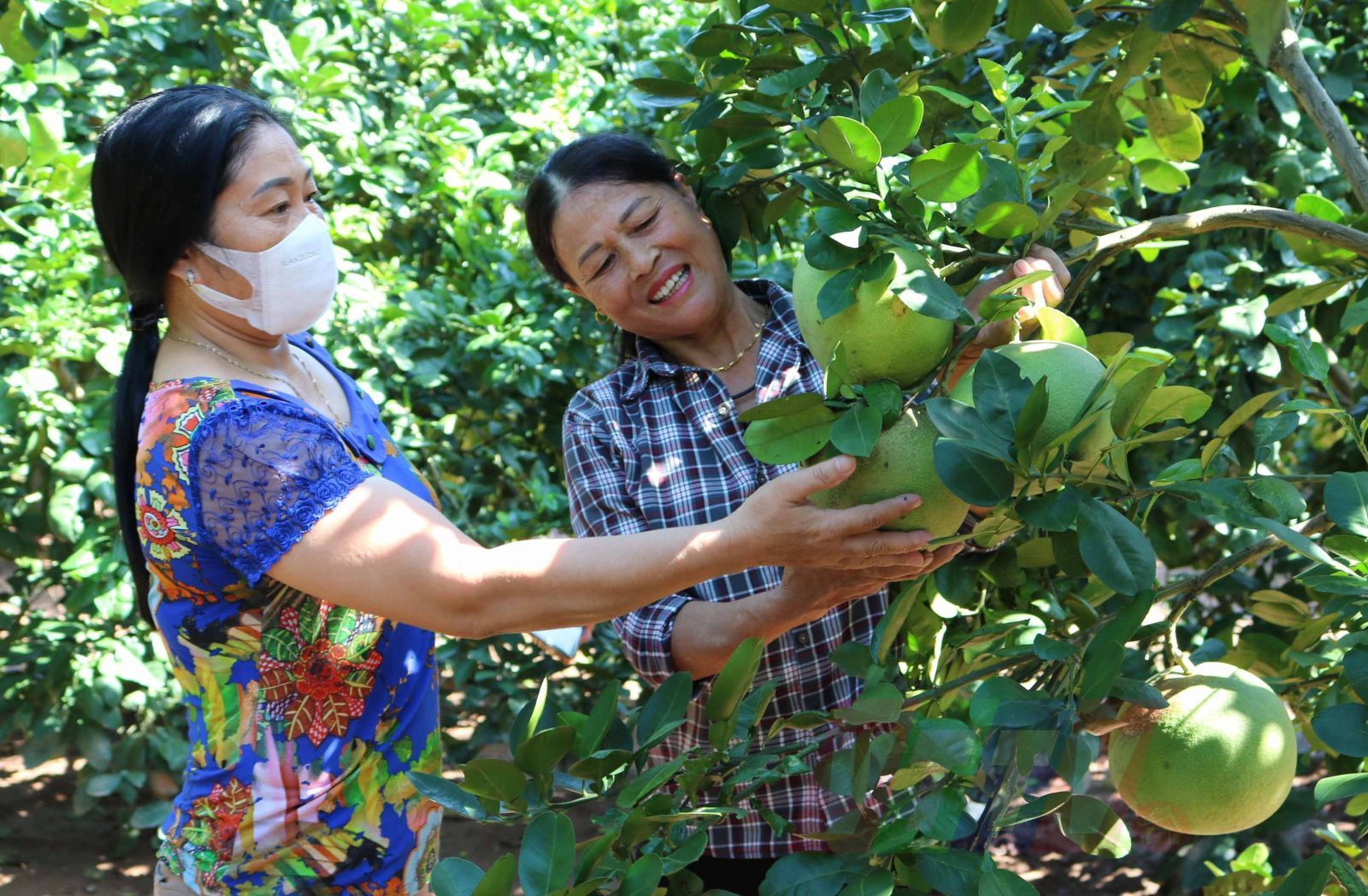 Làm giàu từ mô hình kinh tế tổng hợp