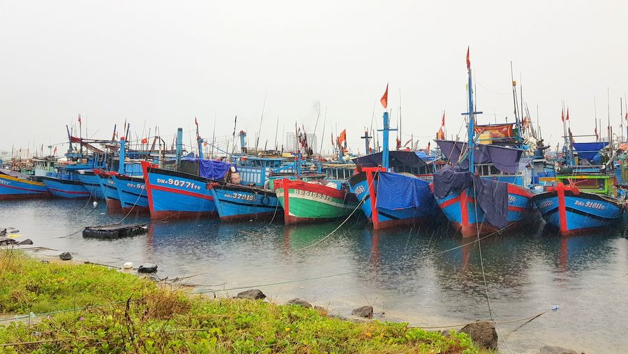 Khai thác thủy sản thích ứng an toàn, linh hoạt trong tình hình mới