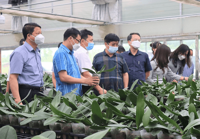 Hà Nội phát triển nông nghiệp thông minh