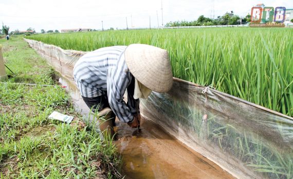 Cảnh báo sử dụng xung điện gây chết người 