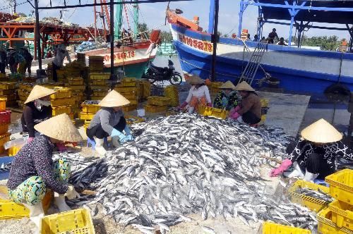 Khai thác thủy sản thích ứng an toàn trong tình hình mới