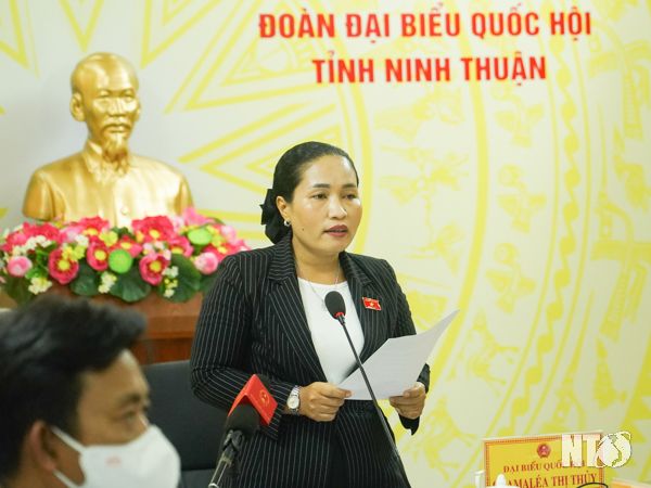 Sớm triển khai gói dịch vụ y tế cơ bản để người dân được sử dụng khi có nhu cầu