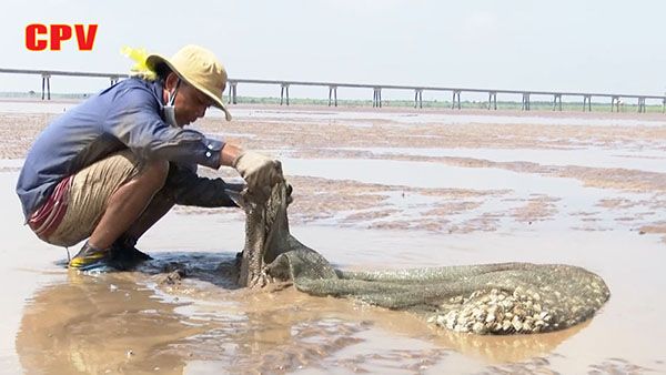 BẢN TIN THỜI SỰ NGÀY 12/12/2021