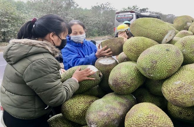 Tránh “bỏ hết trứng vào một giỏ”! 