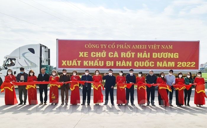 Xuất khẩu lô cà rốt đầu tiên của năm 2022 sang Hàn Quốc