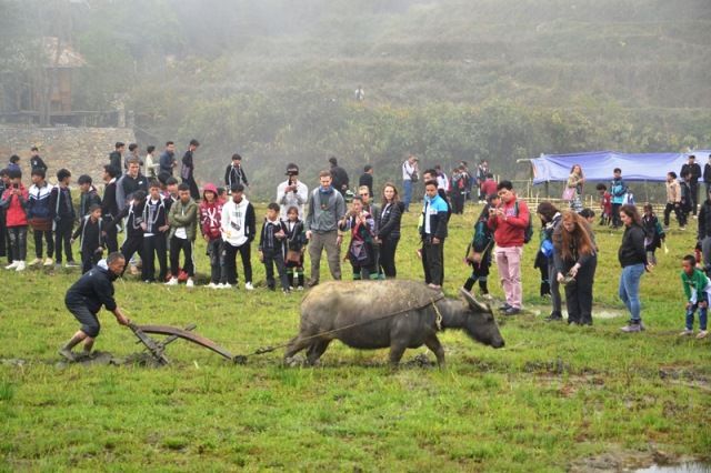 Vùng cao Tây Bắc: Đa dạng sắc màu hội Xuân