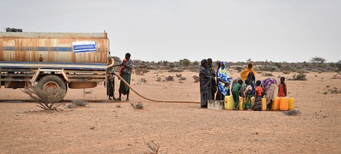 Hạn hán làm tăng nguy cơ xảy ra nạn đói tại Somalia