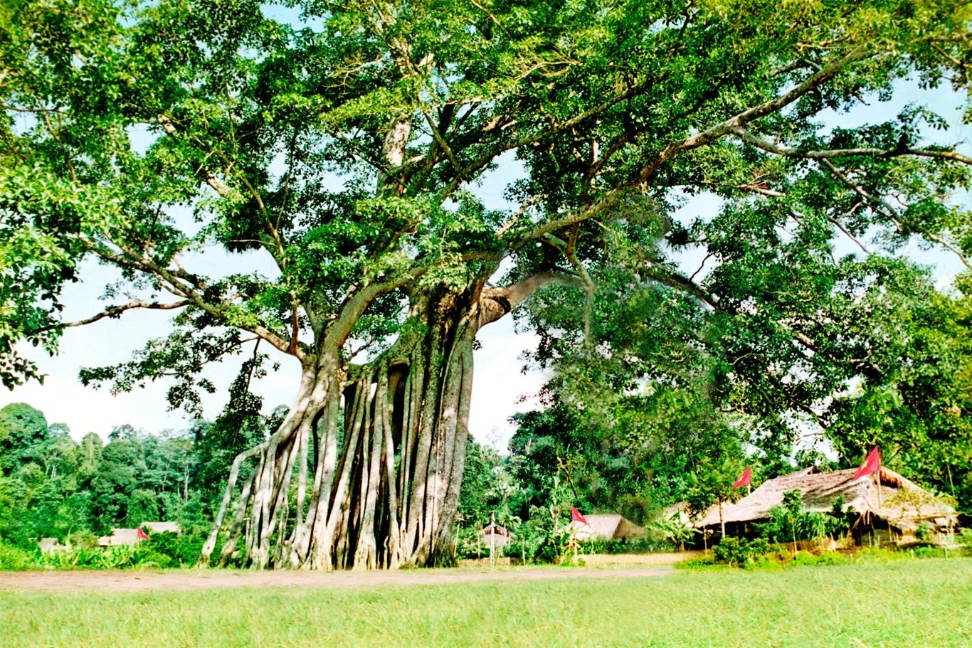 “Ta lại về Tân Trào”