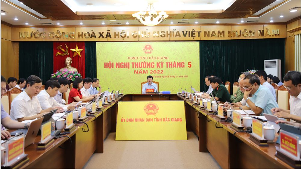 Bắc Giang: Tập trung hỗ trợ tiêu thụ vải thiều, thực hiện tốt các chỉ tiêu kinh tế