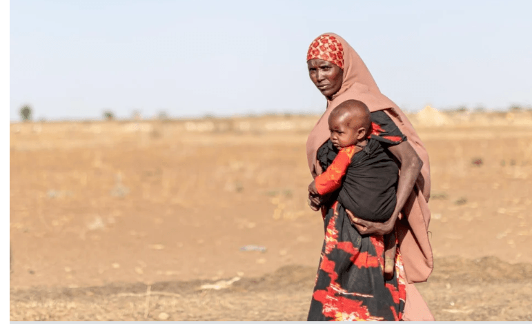 UNHCR: Số người di cư trên toàn cầu đang cán mốc kỷ lục