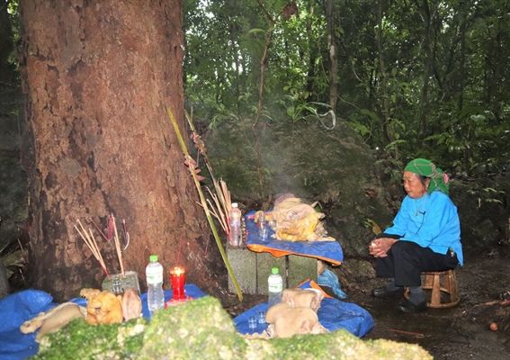 Lễ hội Háu Đoong của người Giáy Nậm Loỏng, Lai Châu